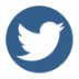 blue icon-twitter
