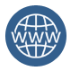 blue icon-website