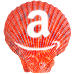 Sea Shell - amazon