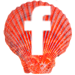 Sea Shell - FB