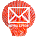 Sea Shell - newsletter