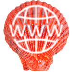 Sea Shell - website