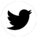 twitter-white