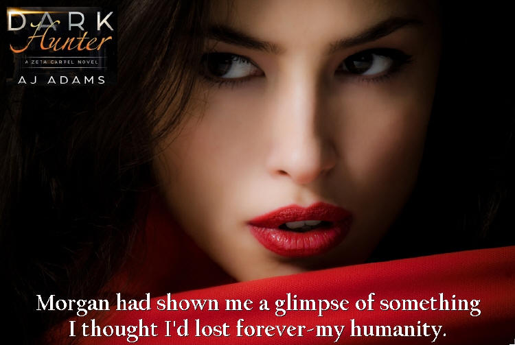 Dark Hunter by AJ Adams teaser 02 romance.jpg